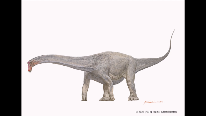 竜脚類恐竜　歯の化石から食べ物明らかに