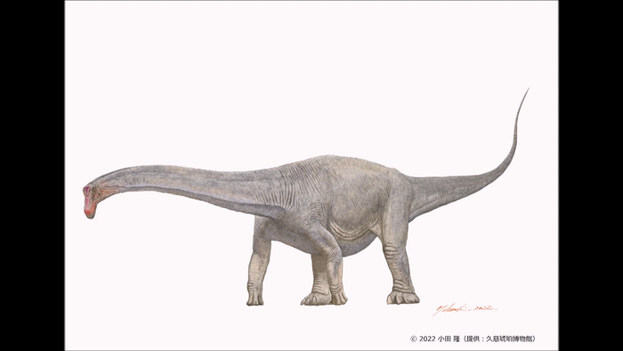 竜脚類恐竜 歯の化石から食べ物明らかに