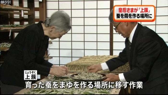 今年の蚕は育ち良く…皇后さま「上蔟」作業