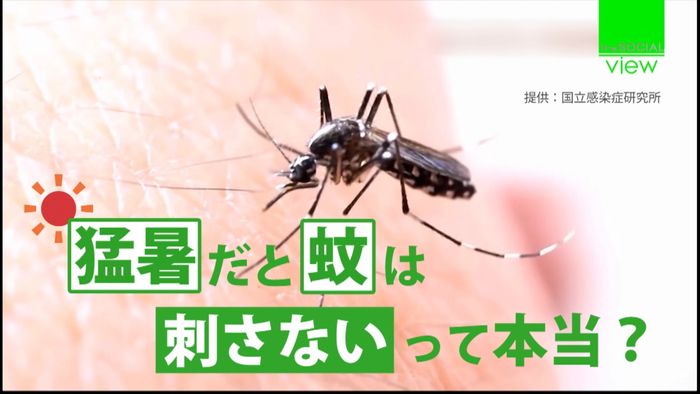 猛暑だと蚊刺さない?体張った実験結果は…