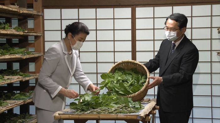 蚕に桑を 皇后さまが「御給桑」