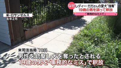 レディー ガガさんの愛犬 強奪 逮捕された男を 事務的なミス で釈放 5000ドル懸賞金かけ行方追う 米司法当局
