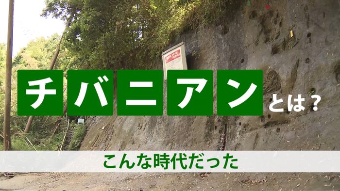 どんな時代?2分で分かる“チバニアン”