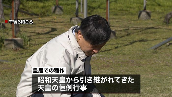 天皇陛下マスク姿で即位後初の「お手まき」