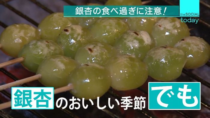 銀杏の食べ過ぎに注意!死亡例も