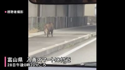 家の中にイノシシが ３人けが 富山