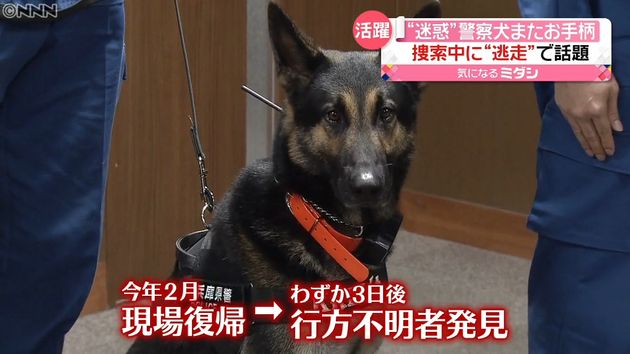 逃走 警察犬またお手柄 ご褒美 は