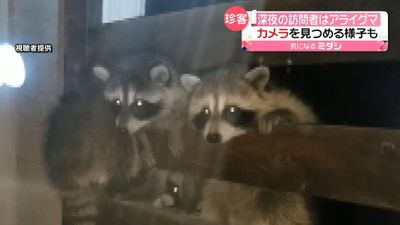 慣れた手つきで 深夜の訪問者は 鳥取