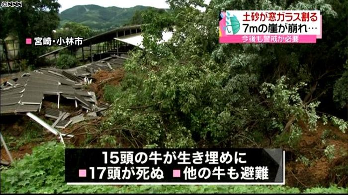 土砂崩れで牛が生き埋め、17頭死ぬ 宮崎