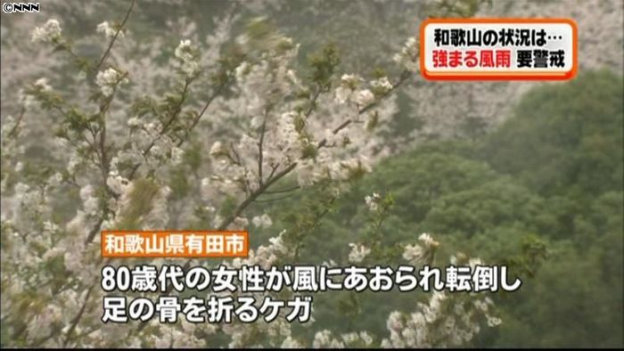 風にあおられて80歳代女性が転倒、ケガ