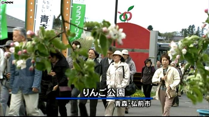東北復興を支援「りんご花まつり」ツアー