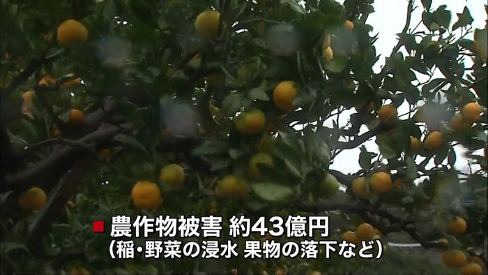 台風２１号　農林水産業の被害額７０億円超