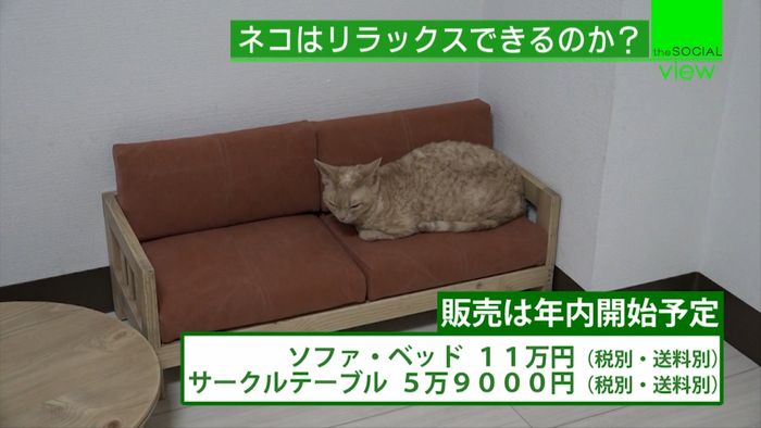 ネコ家具 ネコはリラックスできるのか?