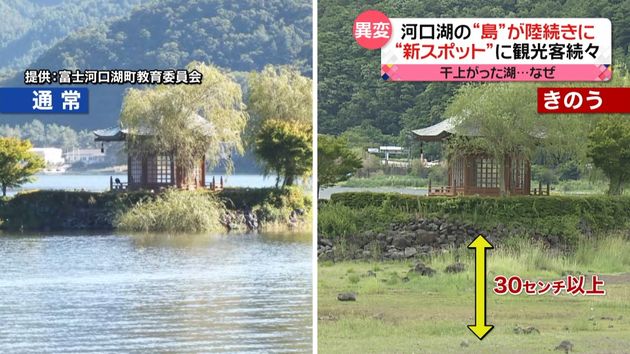 河口湖に 異変 新 観光スポット も