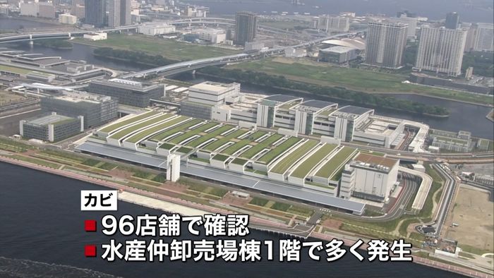 豊洲の96店舗でカビ発生 夏の長雨影響か