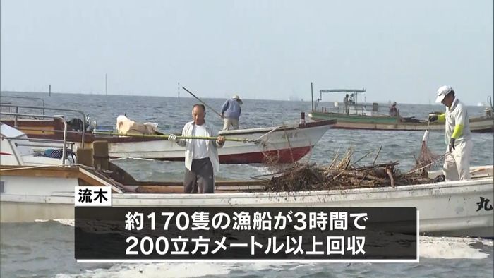 豪雨で有明海に大量のゴミ・流木…回収作業