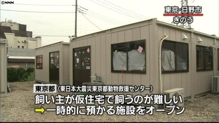 震災避難ペットを預かる施設 東京に開設