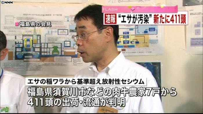 新たに411頭、福島から6都県に 汚染牛
