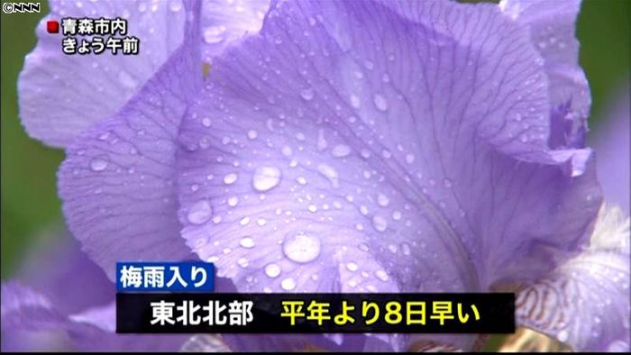 平年より8日早く…東北北部の梅雨入り発表