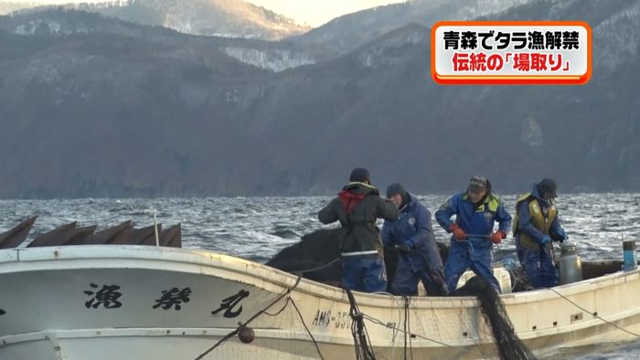 タラ漁解禁 脇野沢で伝統の「場取り」