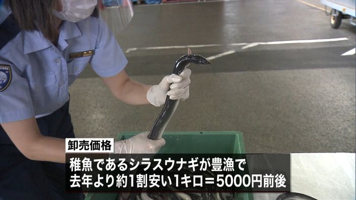 土用の丑の日 成田空港でウナギの通関作業