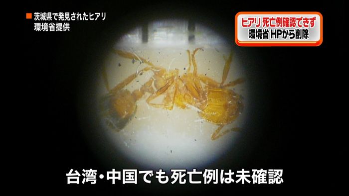 ヒアリ死亡例“未確認”環境省が表現削除