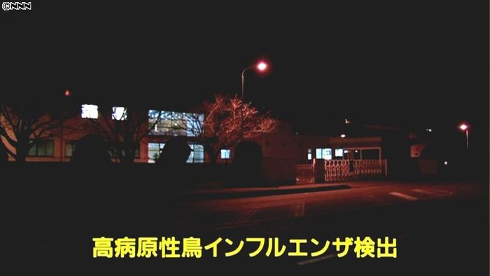 宮崎・都農町で鳥インフル感染 殺処分開始