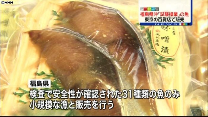 東京で福島県沖“試験操業”の魚を販売