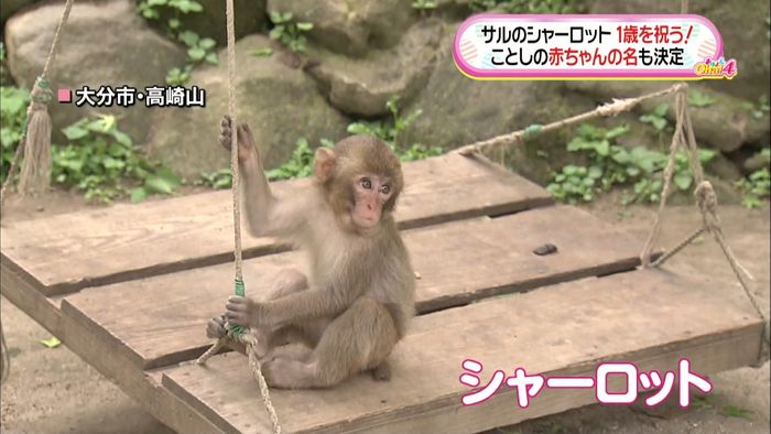 命名騒動から1年…シャーロットの誕生日会
