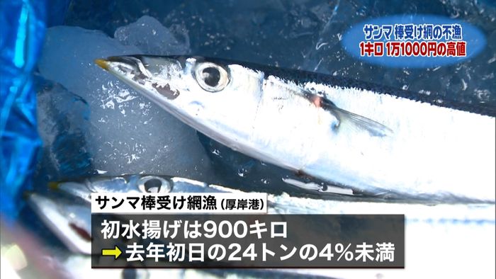 サンマ初競り 去年の4倍超の高値に
