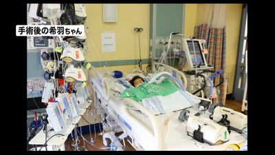 馬力 無限 ワイド 心臓 手術 日記 と 十年 印をつける