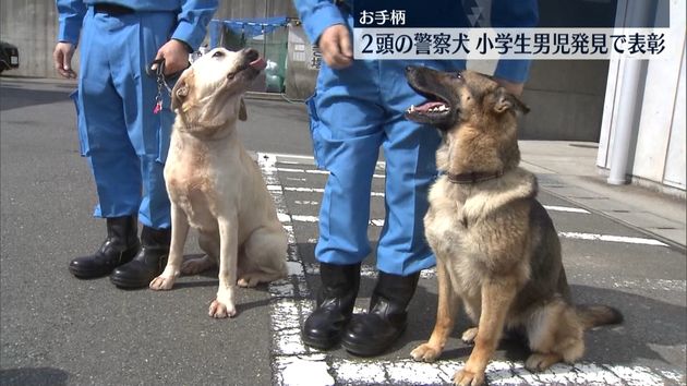 不明男児わずか1時間で発見 警察犬2頭を表彰 不明男児わずか1時間で発見 警察犬2頭を表彰