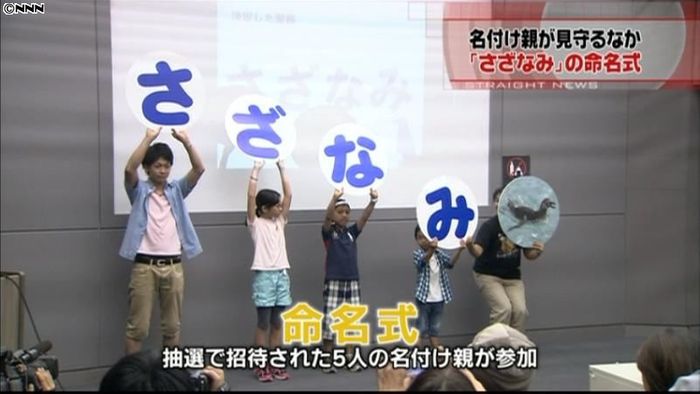 “脱走ペンギン”の命名式行われる