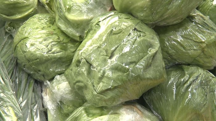 農水省担当者に聞く!野菜の価格動向