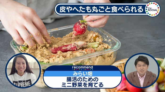 皮もへたも味わう! ぬか漬け用ミニ野菜