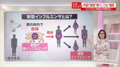 中国で新型豚インフル ヒト ヒト感染は