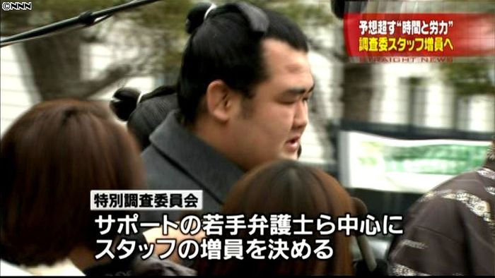 特別調査委、スタッフ増員へ 八百長問題