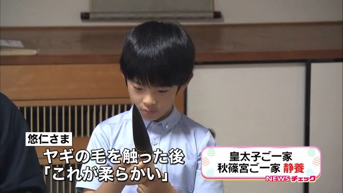悠仁さま、伝統の筆づくりをご覧に 滋賀