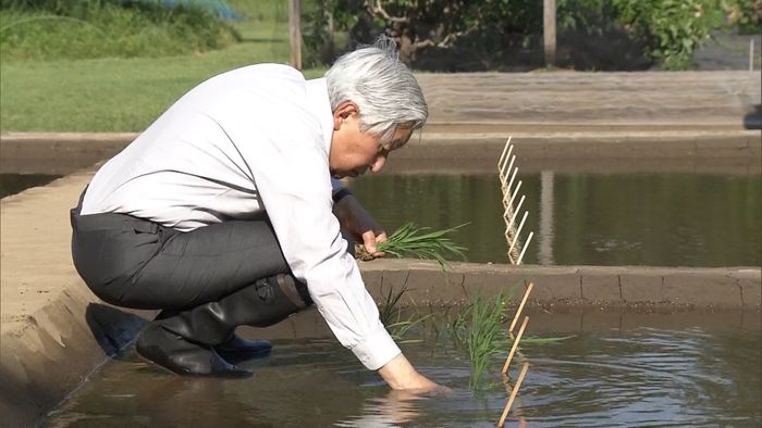 両陛下 皇居で「お田植え」と「御給桑」