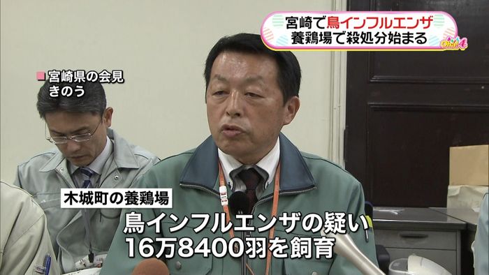 宮崎で鳥インフル 16万羽超の殺処分開始
