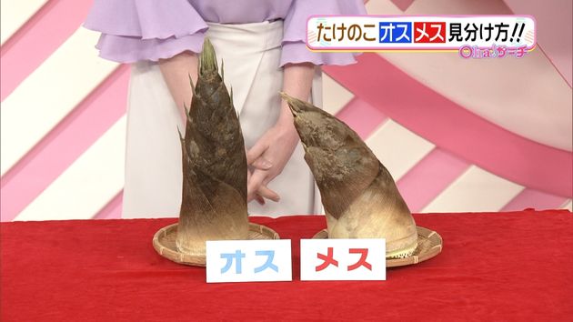たけのこ 実はオスとメスがある