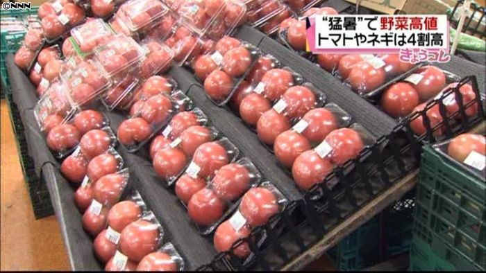 猛暑の影響…野菜の高値続く、ネギは4割高