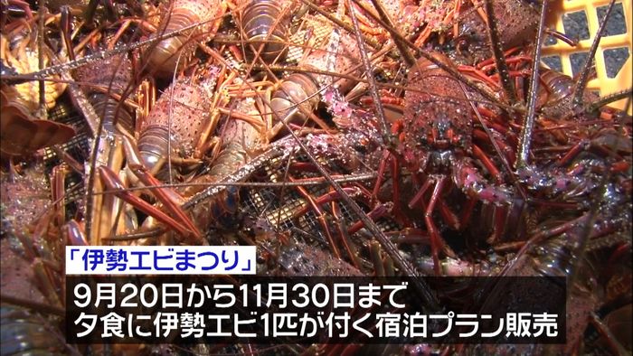 石廊崎漁港で伊勢エビ漁解禁 静岡