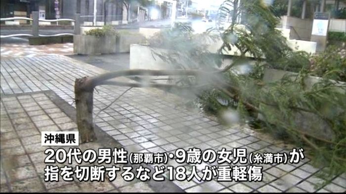 台風19号 沖縄でケガ人や建物の被害も