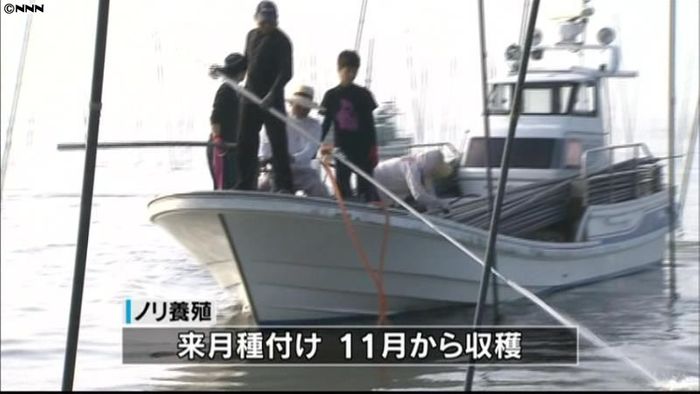 有明海でノリの養殖始まる 福岡