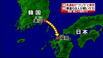 福岡行きの高速船 釜山沖でクジラ と衝突