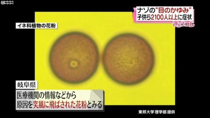 岐阜だけ…2100人超がアレルギー症状