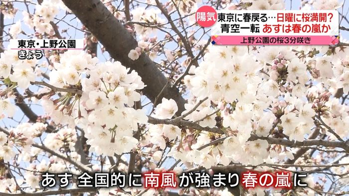 “まん延防止”解除から初の週末に期待　東京は桜の満開近づくも、あすは春の嵐か