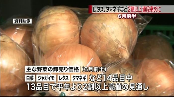 6月前半の野菜卸売価格は“2割以上高め”