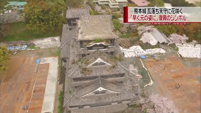 熊本地震から１年　名城・熊本城の現在は？